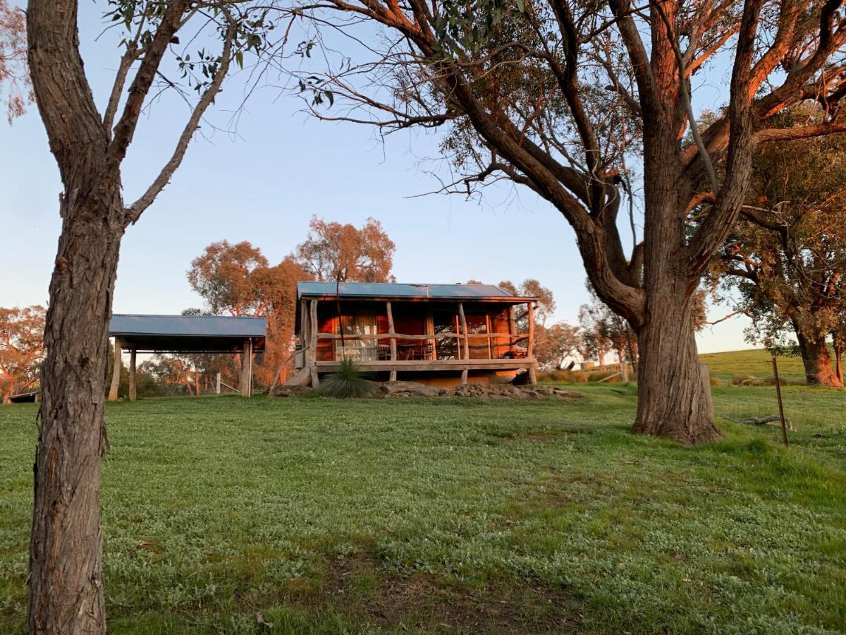 Gaddleen Grove Cottages 워동가 외부 사진