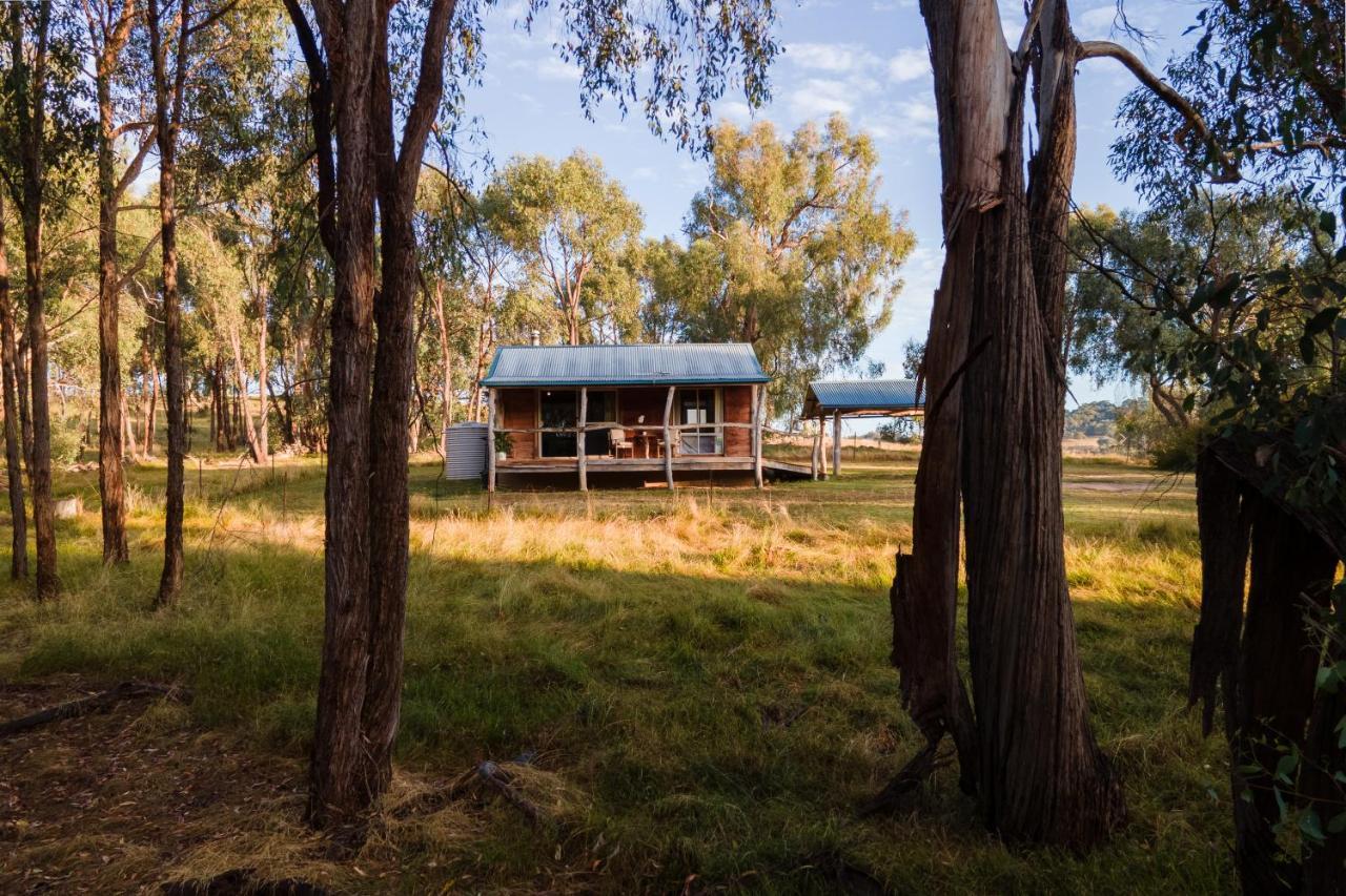 Gaddleen Grove Cottages 워동가 외부 사진